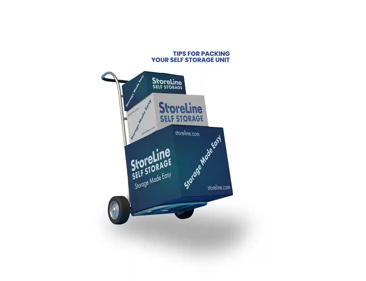 Storeline Blog